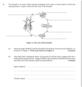 Human & Social Biology CXC Paper 2 Past-Papers Questions – Helpful Test